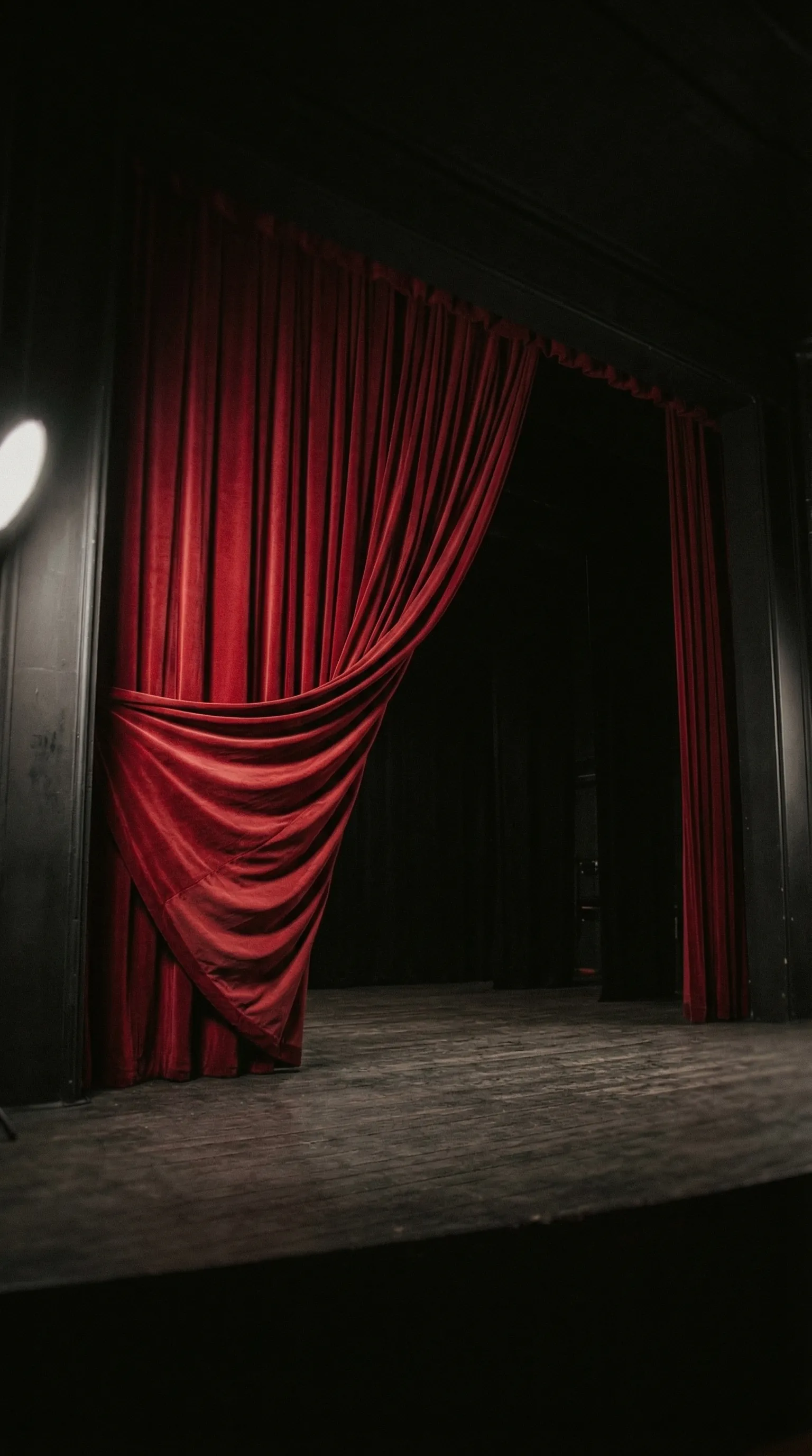 MERIDIAN — the entrance curtain